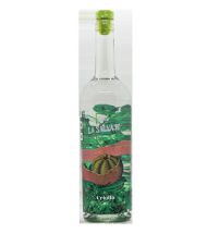 LA SALVAJE GIN MANDARINA CRIOLLA
